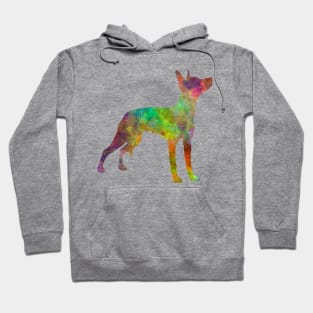 Xoloitzcuintle in watercolor Hoodie